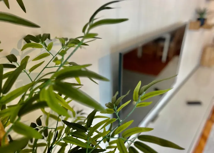 Fragueiro 186 * Vigo